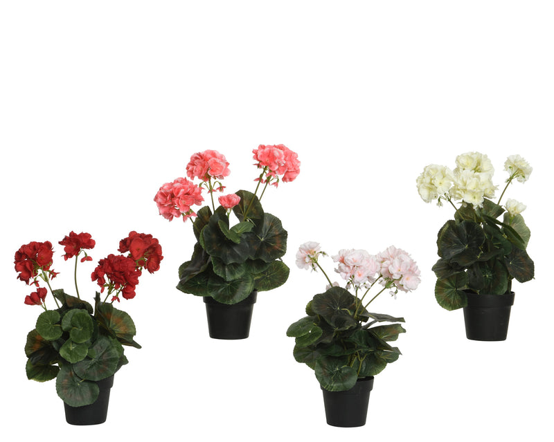 Flower in pot - sold separately