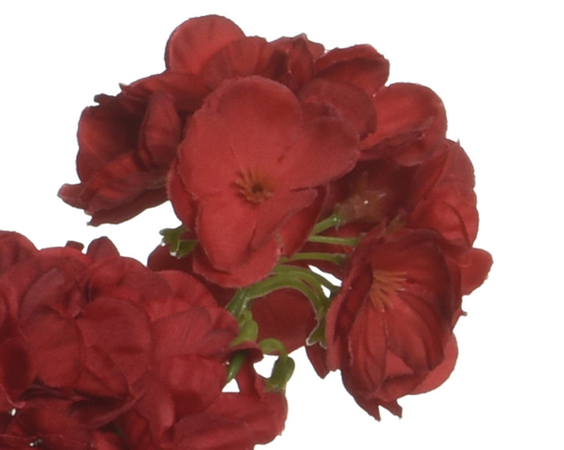 Flower in pot - sold separately