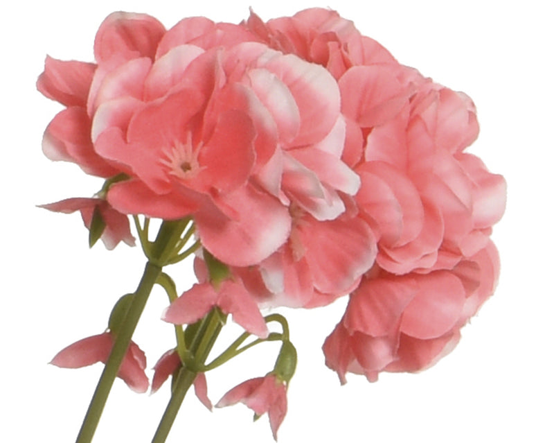 Flower in pot - sold separately