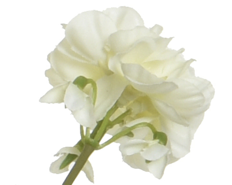 Flower in pot - sold separately