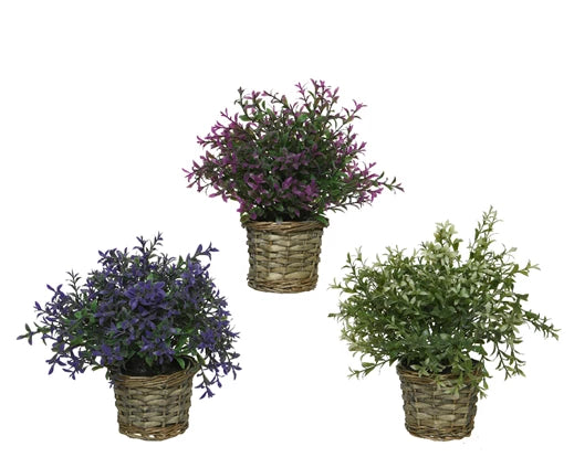 Plastic Plant in Basket Pot - Purple, Pink or White