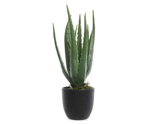 Artificial Aloe Vera in Pot (35cm)