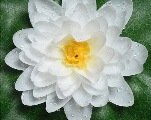 Artificial Lotus Flower with Water Drop