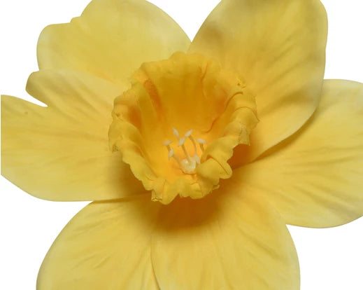 Artificial Narciscus Flower Stem