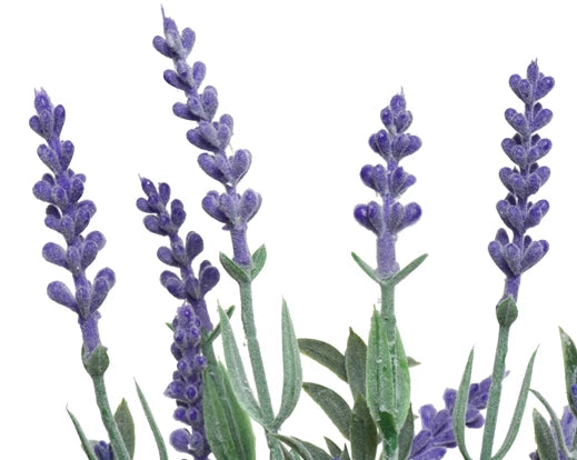 Artificial Lavender Plant In Decorative Plant Pot (32x13cm)