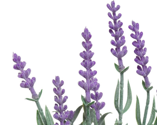 Artificial Lavender Plant In Decorative Plant Pot (32x13cm)