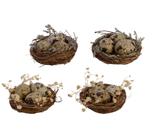 Bird Nest Rattan