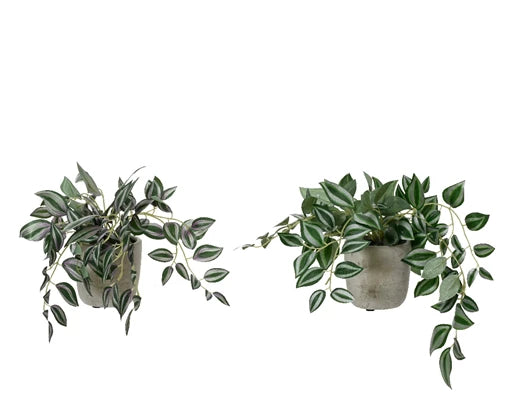 Artificial Chlorophytum Plant in A Pot (45x12cm)
