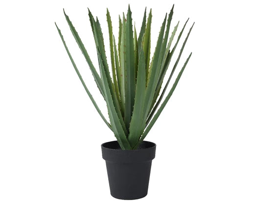 Artificial Agave Aloe Vera in Pot