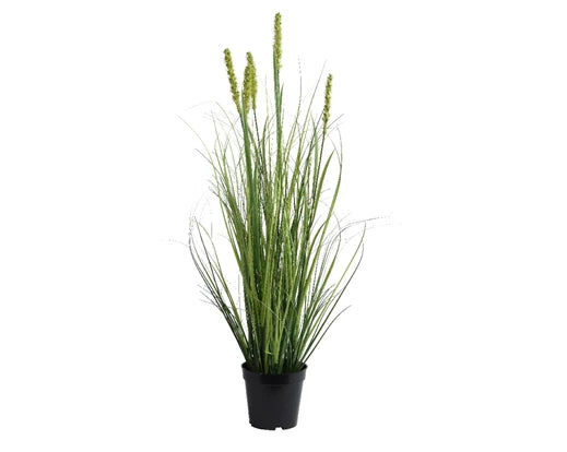 Artificial Plant Cattail In Pot (80x30cm)
