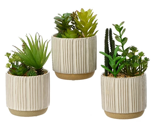 Faux Succulent Plant (20x12.5cm)