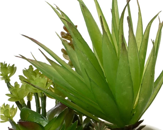 Faux Succulent Plant (20x12.5cm)