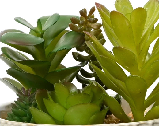 Faux Succulent Plant (20x12.5cm)