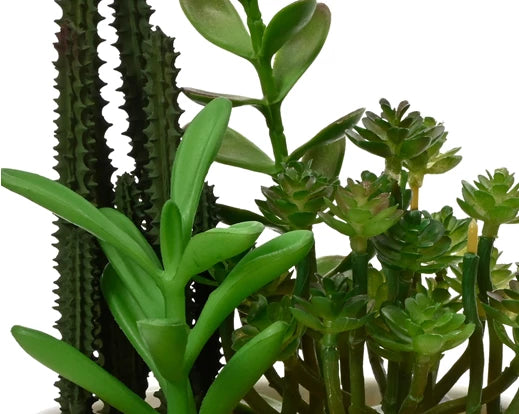 Faux Succulent Plant (20x12.5cm)
