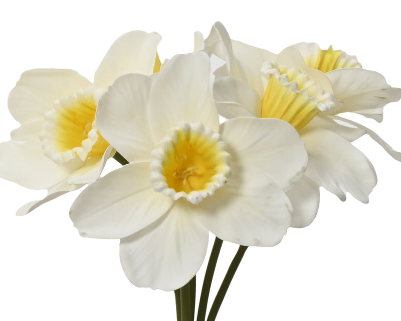 Bundle narcissus - sold separately