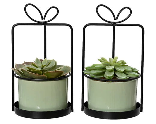 Faux Succulent In Pot (17.5x9.5cm)