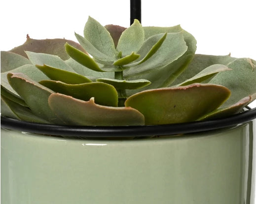 Faux Succulent In Pot (17.5x9.5cm)