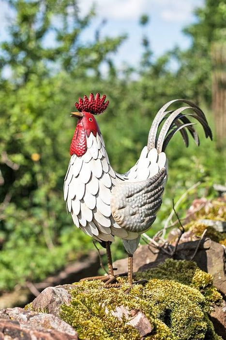 La Hacienda Steel Animal Feathered Cockerel (50x50x22cm)