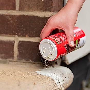 Deadfast Ant Killer Plus Powder (150g)