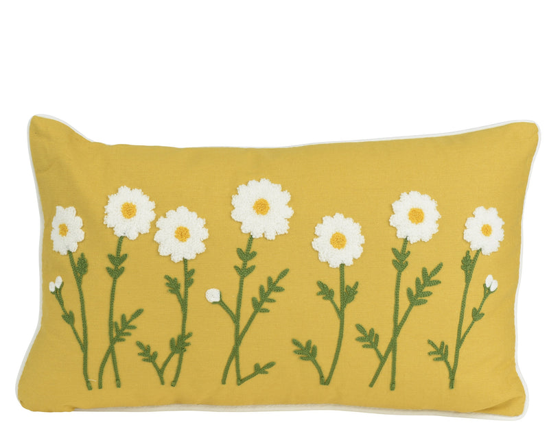 Cushion dasiy flower