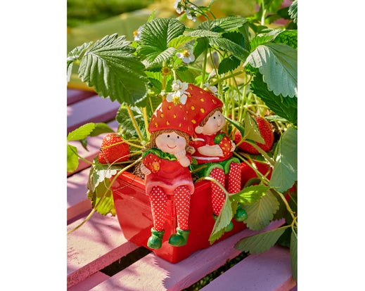 Garden Figurine Boy Girl With Flower & Strawberry