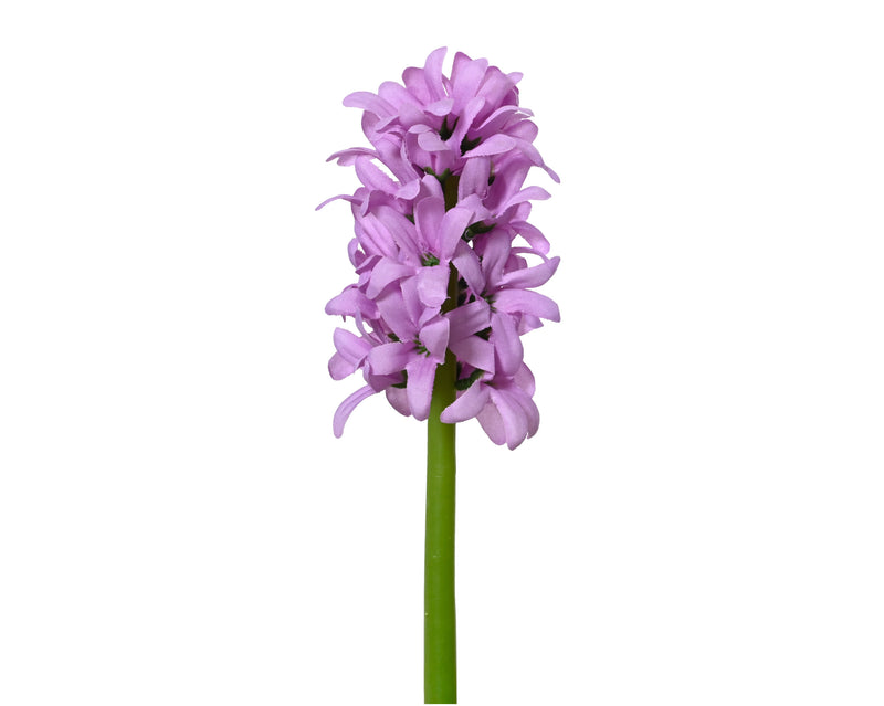 Hyacinth stem - sold separately