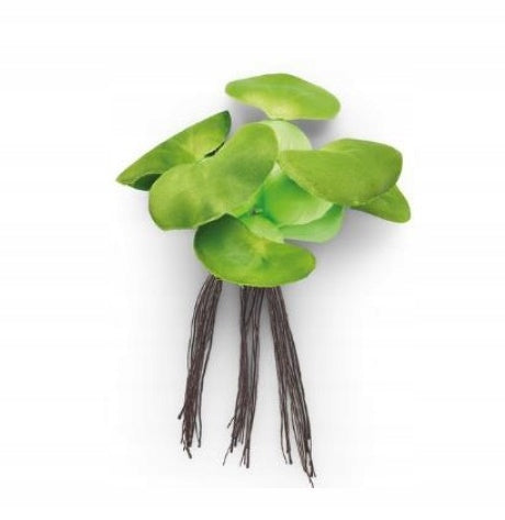 Oase Pontec Pondo Floating Hyacinth 14cm