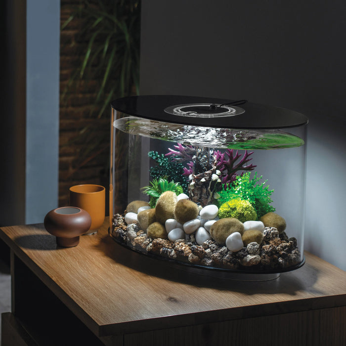 biOrb Loop Aquarium 15 Litre with Multi Colour LED Light-Remote Control Black