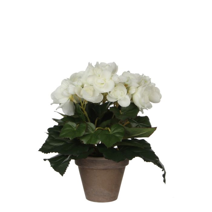 Artificial Begonia Artificial Plant in Plant Pot Stan - White