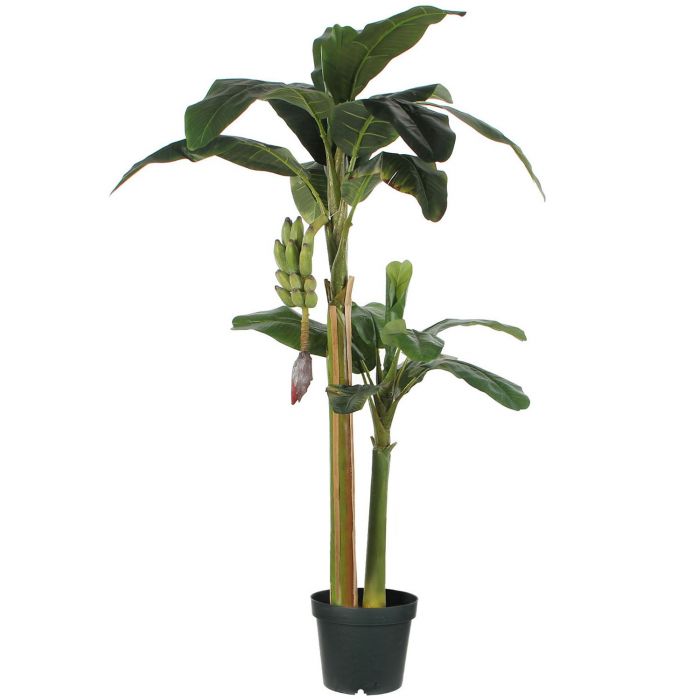 Artificial Banana tree green pot (H180)