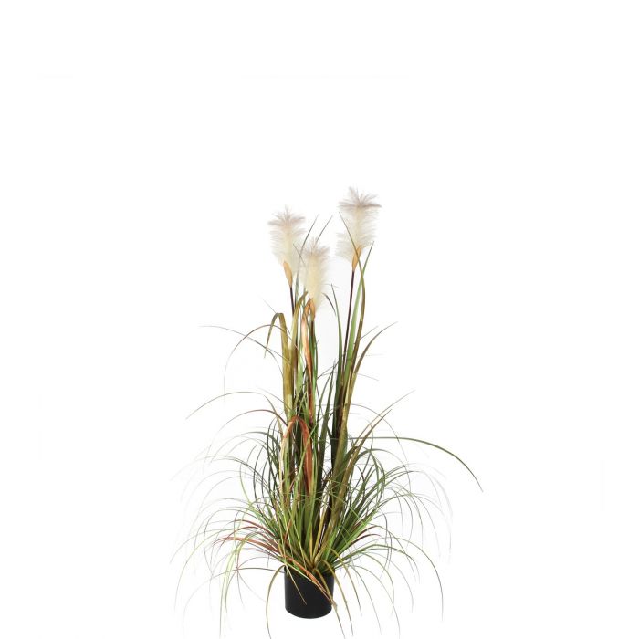 Artificial Plume Grass Foxtail White Pot (H120xD45)