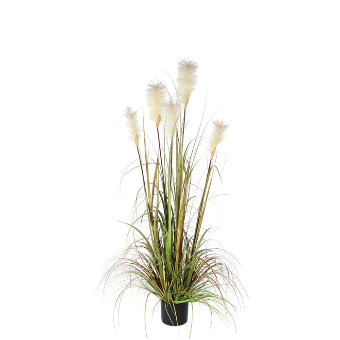 Artificial Plume Grass Foxtail White Pot (H150x70cm)