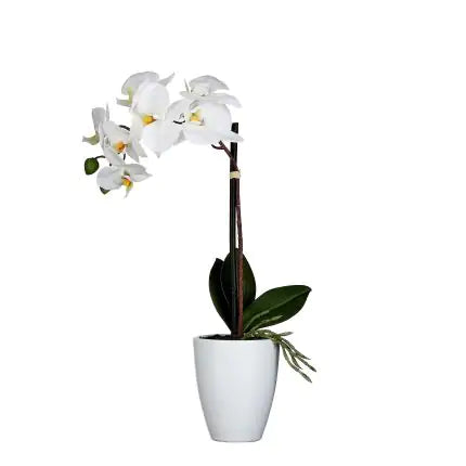 Artificial Phalaenopsis in A White Pot (42 x 20 cm)