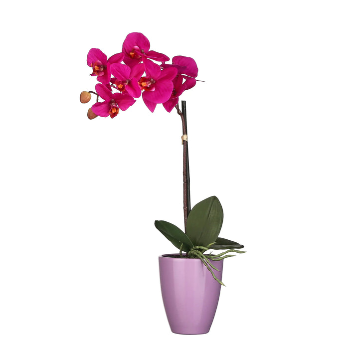 Artificial Phalaenopsis in Tusca Pot - Purple (h42xd20cm)