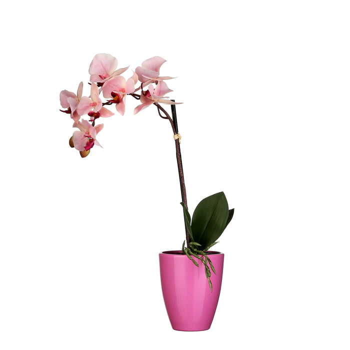 Artificial Phalaenopsis Artificial Pink Orchid In Pot (42 x 20 cm)