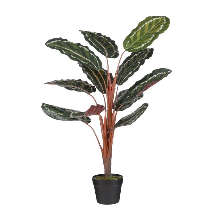 Artificial Calathea Roseopicta Plant (H90xD60 cm)