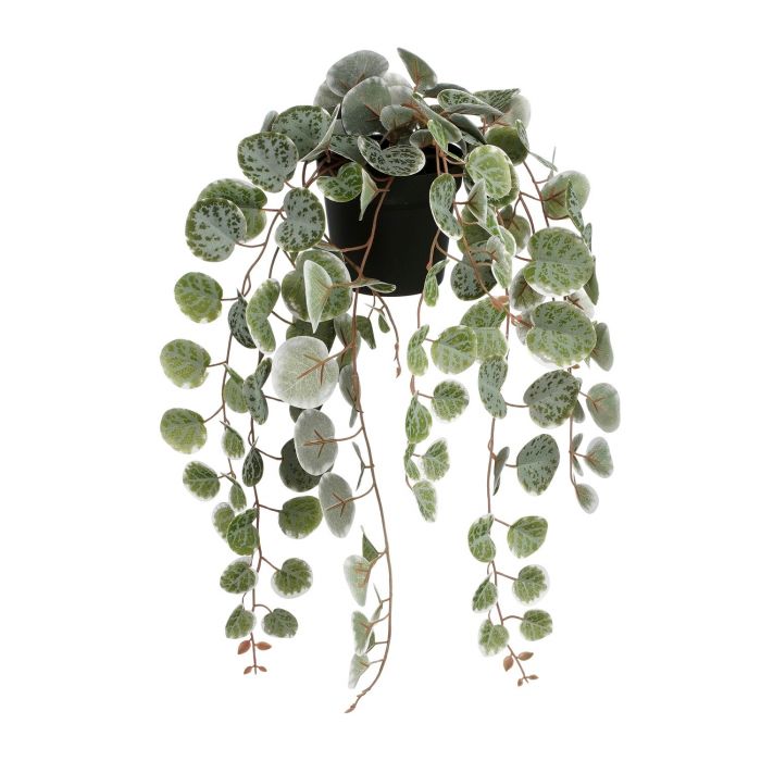 Artificial Decorative Ceropegia Woodii Hanging In Pot - Green (L46XW12XH10CM)