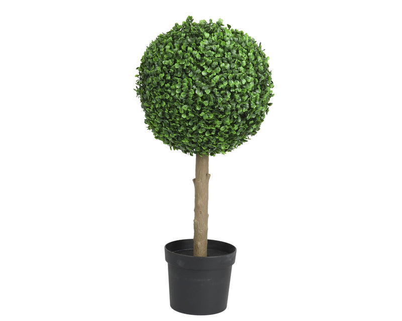 boxwood ball tree H60cm dia28