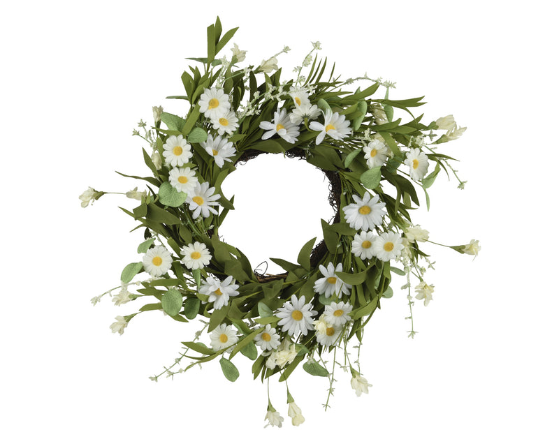 Wreath daisy/wildflower