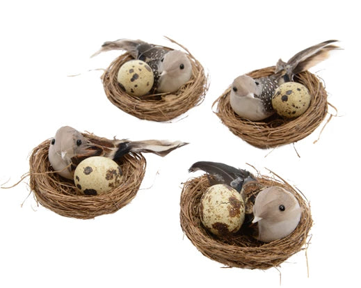 Bird Nests on a Wire