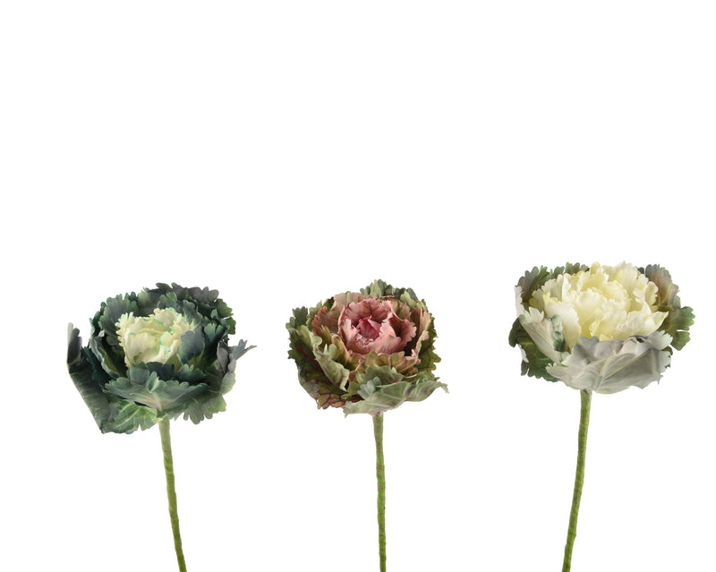 Spray brassica - sold separately