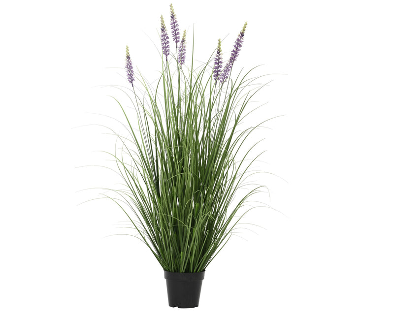 Plant pot lavender