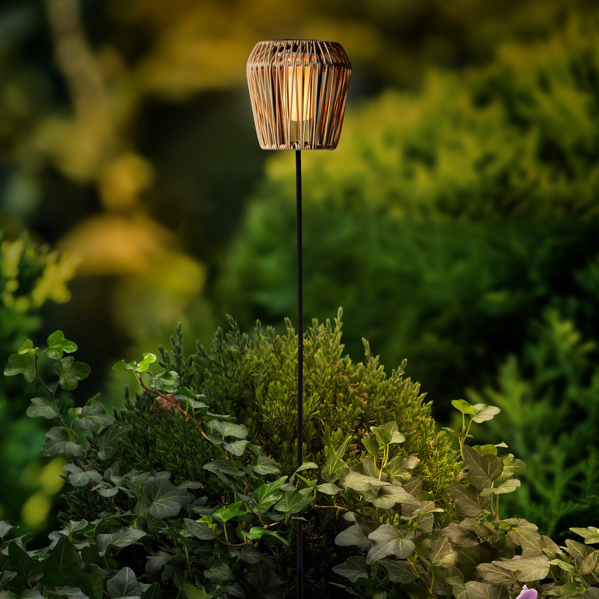 Solar stake light flame — Newlands Garden Centre