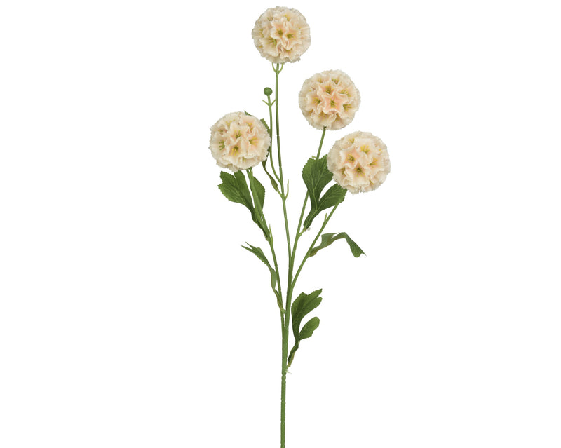 hydrangea stem scabiosa