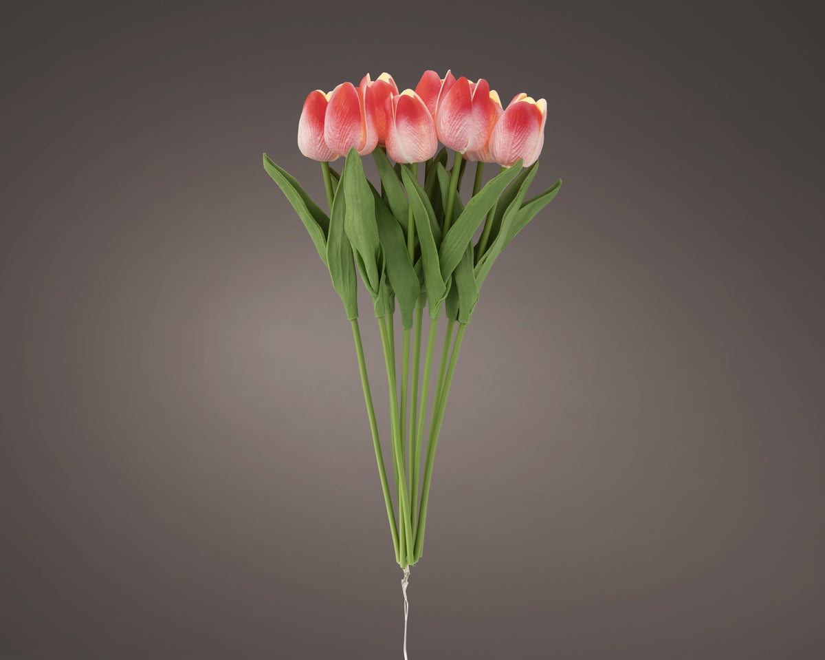 LED tullips BO indoor — Newlands Garden Centre