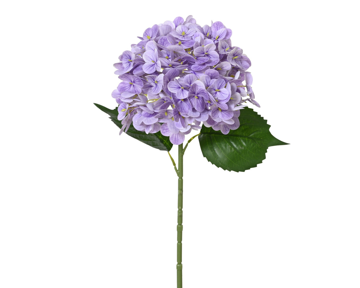 Hydrangea real touch — Newlands Garden Centre