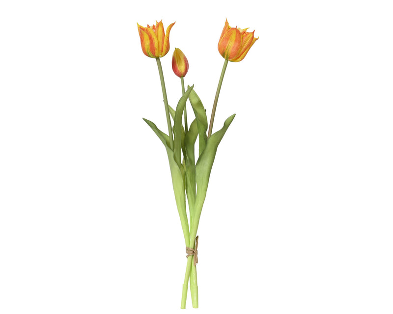 Tulip real touch orange