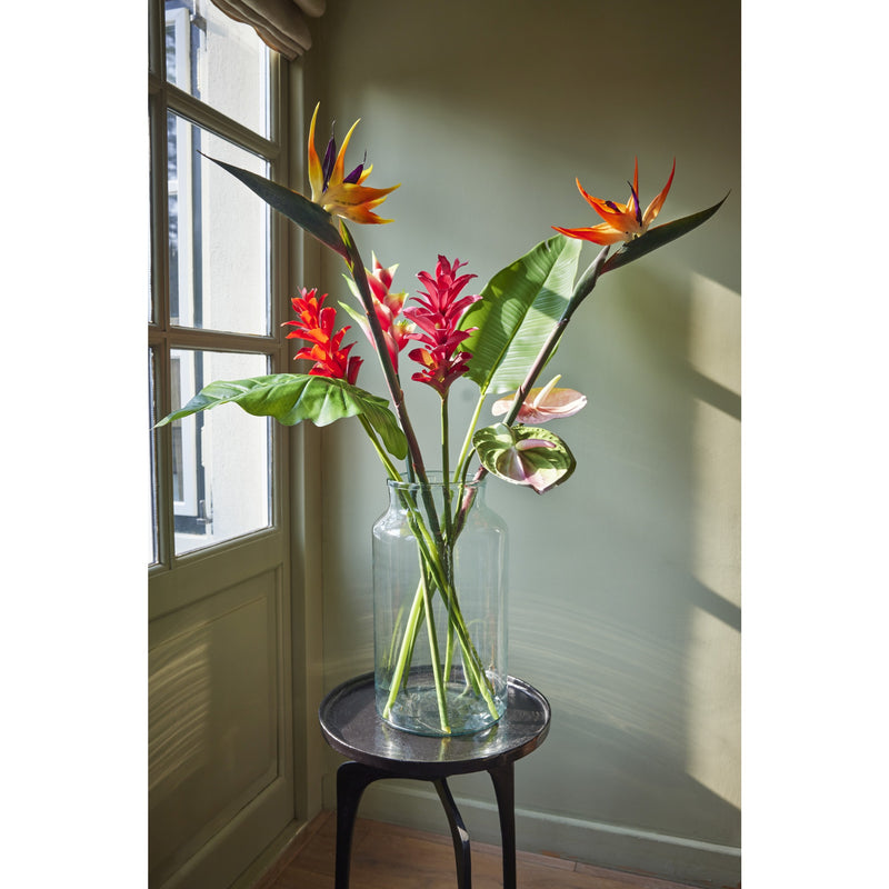 Spray strelitzia - sold separately