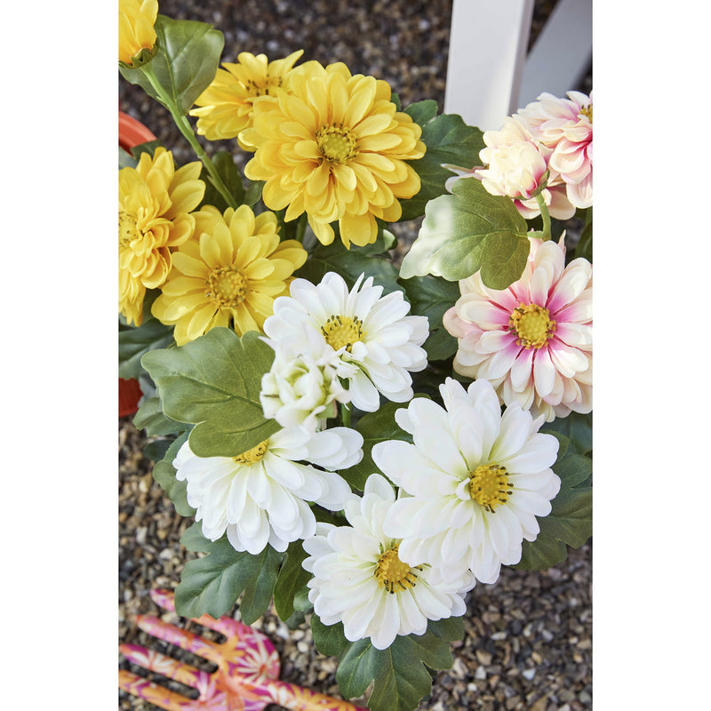 Plant zinnia in pot - sold separately