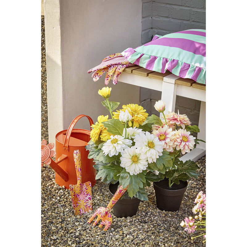 Plant zinnia in pot - sold separately